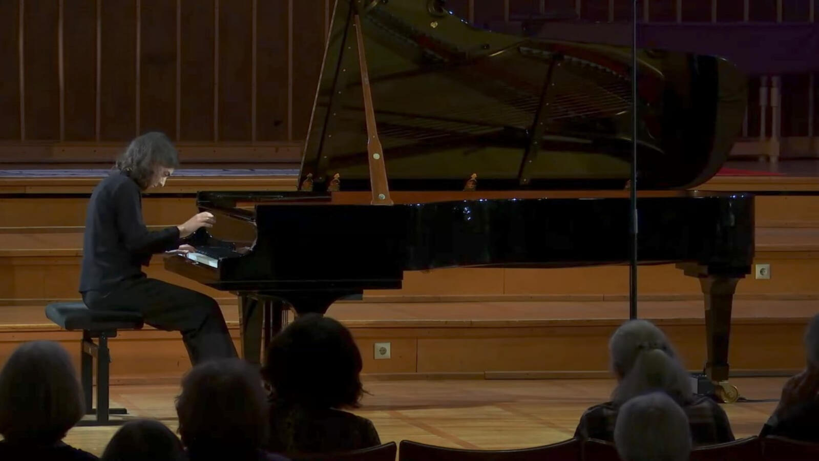 Roni Levy Pianist perform